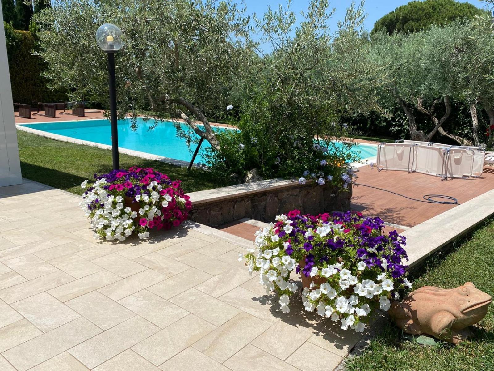 Visit Rome From A Quiet Place Frascati Extérieur photo